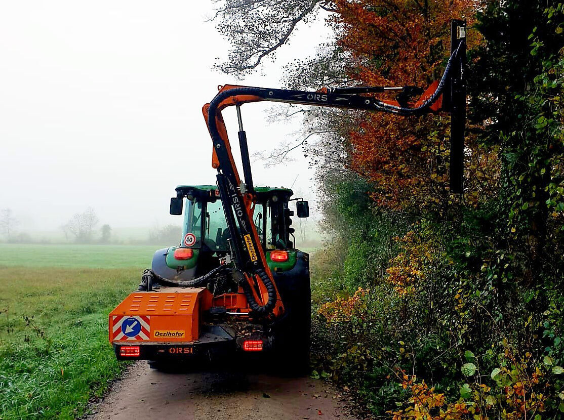 waldstrassenunterhalt, heckenpflege