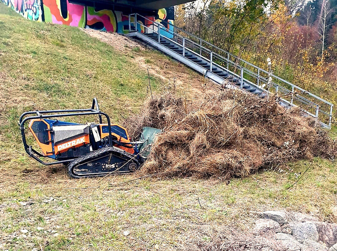 ökologischeböschungspflege
