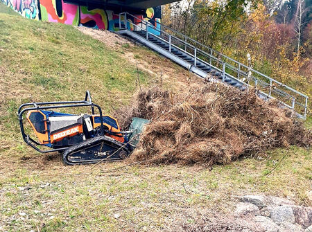 ökologischeböschungspflege