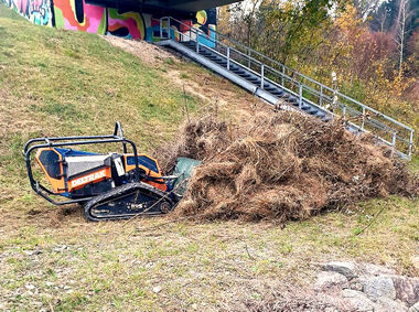 ökologischeböschungspflege
