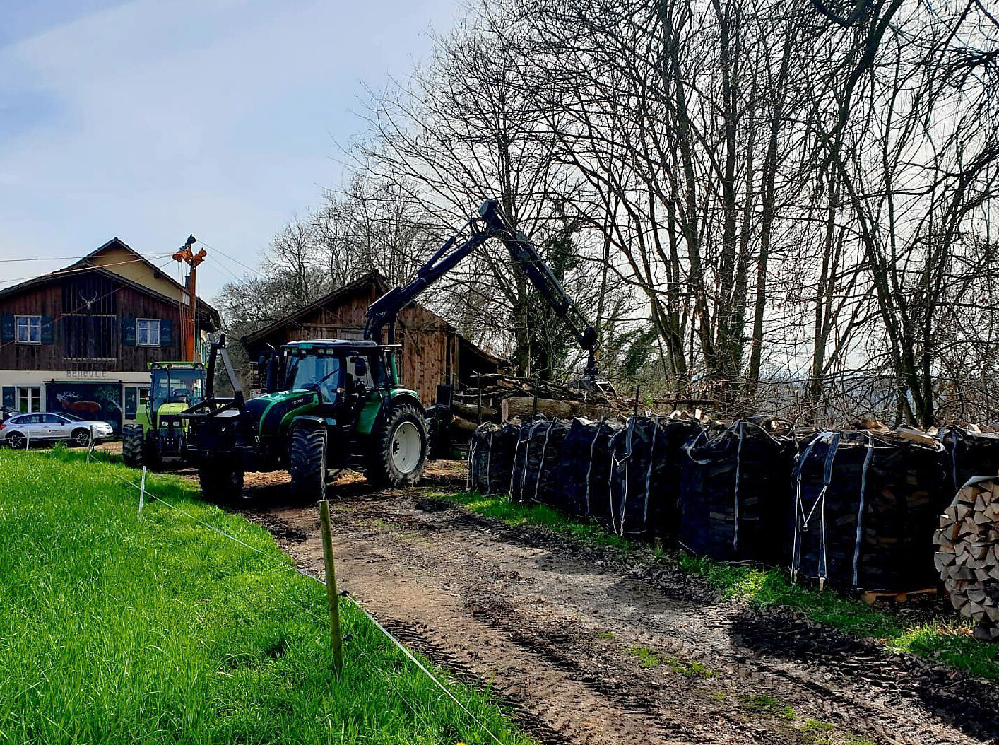 holzernte, holzrücken