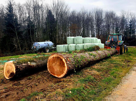 holzrücken