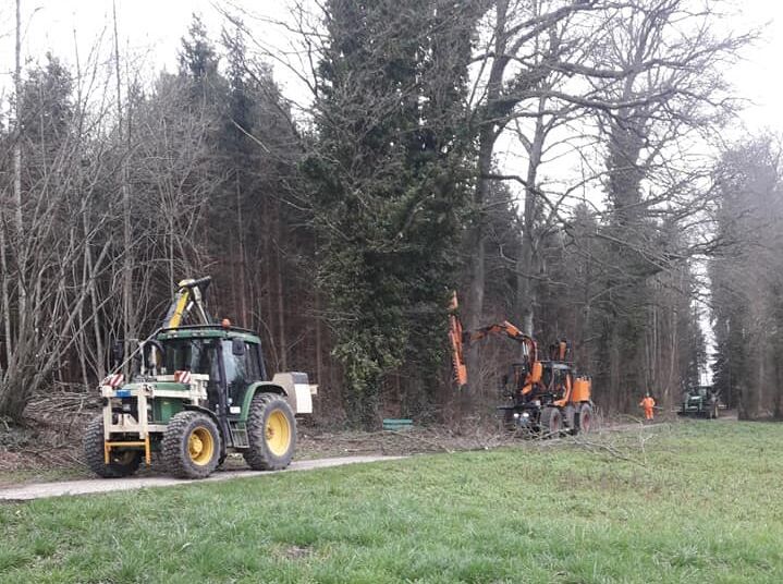 waldstrassenunterhalt